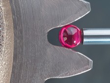 ���ֲ���